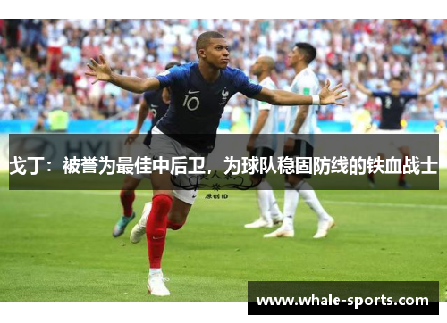 戈丁：被誉为最佳中后卫，为球队稳固防线的铁血战士
